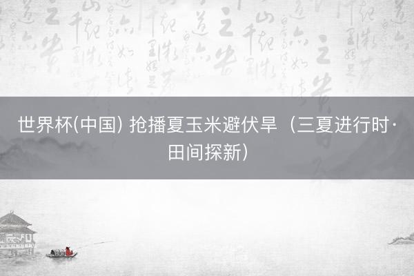 世界杯(中国) 抢播夏玉米避伏旱（三夏进行时·田间探新）