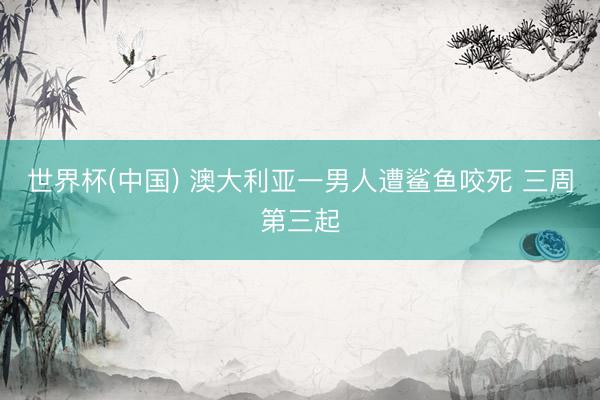 世界杯(中国) 澳大利亚一男人遭鲨鱼咬死 三周第三起