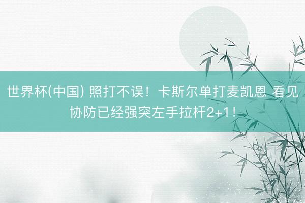 世界杯(中国) 照打不误！卡斯尔单打麦凯恩 看见协防已经强突左手拉杆2+1！