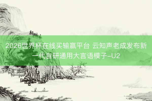 2026世界杯在线买输赢平台 云知声老成发布新一代自研通用大言语模子-U2