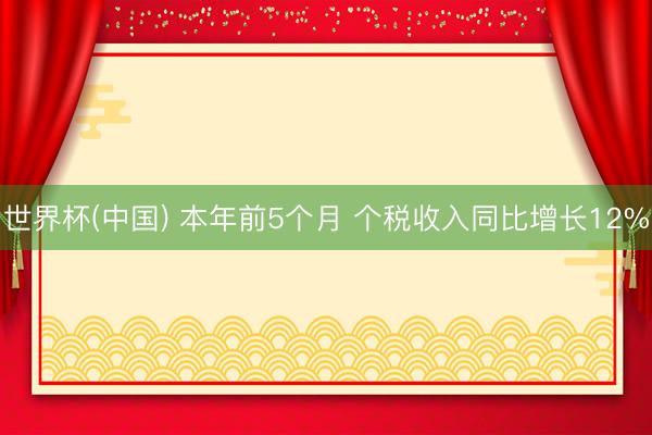 世界杯(中国) 本年前5个月 个税收入同比增长12%