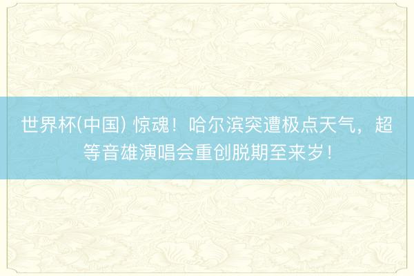 世界杯(中国) 惊魂！哈尔滨突遭极点天气，超等音雄演唱会重创脱期至来岁！