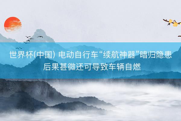 世界杯(中国) 电动自行车“续航神器”暗归隐患 后果甚微还可导致车辆自燃