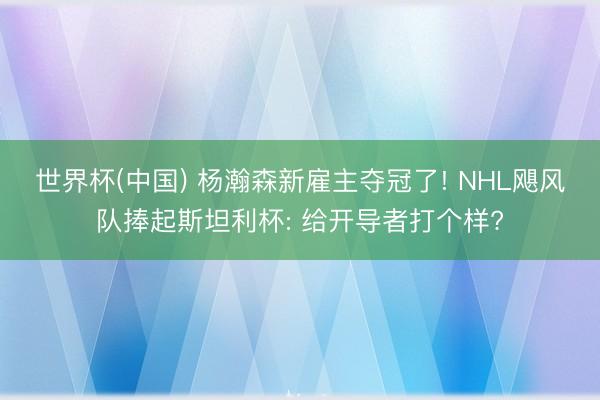 世界杯(中国) 杨瀚森新雇主夺冠了! NHL飓风队捧起斯坦利杯: 给开导者打个样?