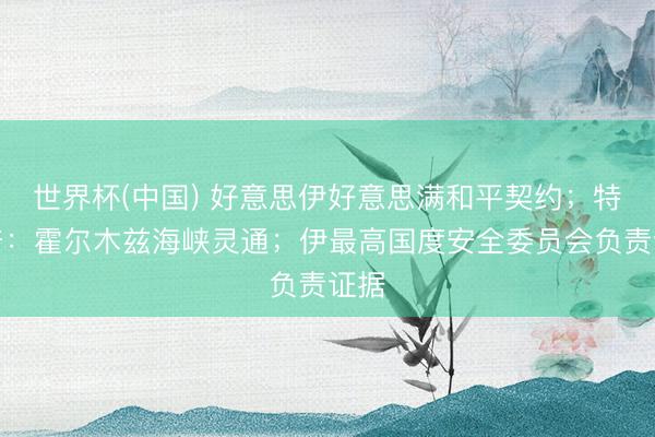 世界杯(中国) 好意思伊好意思满和平契约；特朗普：霍尔木兹海峡灵通；伊最高国度安全委员会负责证据