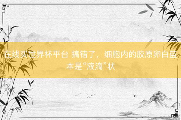 在线买世界杯平台 搞错了，细胞内的胶原卵白蓝本是“液滴”状