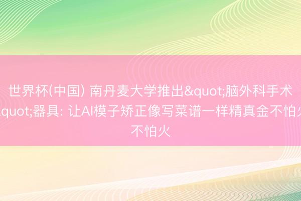 世界杯(中国) 南丹麦大学推出"脑外科手术"器具: 让AI模子矫正像写菜谱一样精真金不怕火