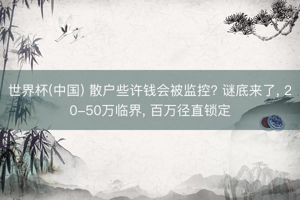 世界杯(中国) 散户些许钱会被监控? 谜底来了， 20-50万临界， 百万径直锁定